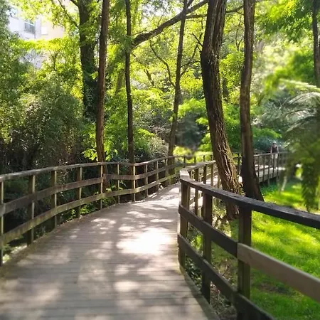 Moderno Y Luminoso 2 Con Todas Comodidades En Ciudad * Pontevedra