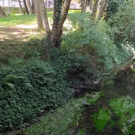 Moderno Y Luminoso 2 Con Todas Comodidades En Ciudad * Pontevedra