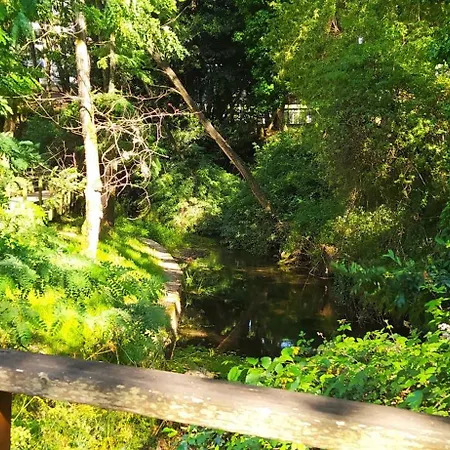 Moderno Y Luminoso 2 Con Todas Comodidades En Ciudad Apartamento *