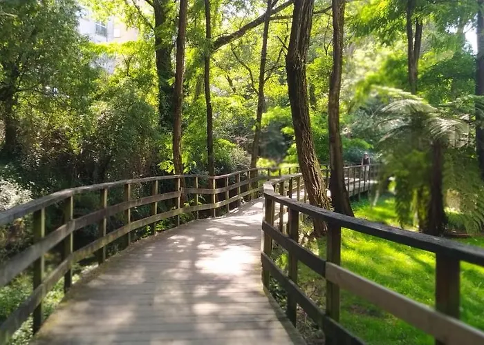 Moderno Y Luminoso 2 Con Todas Comodidades En Ciudad * Pontevedra