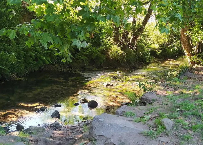Moderno Y Luminoso 2 Con Todas Comodidades En Ciudad * Pontevedra