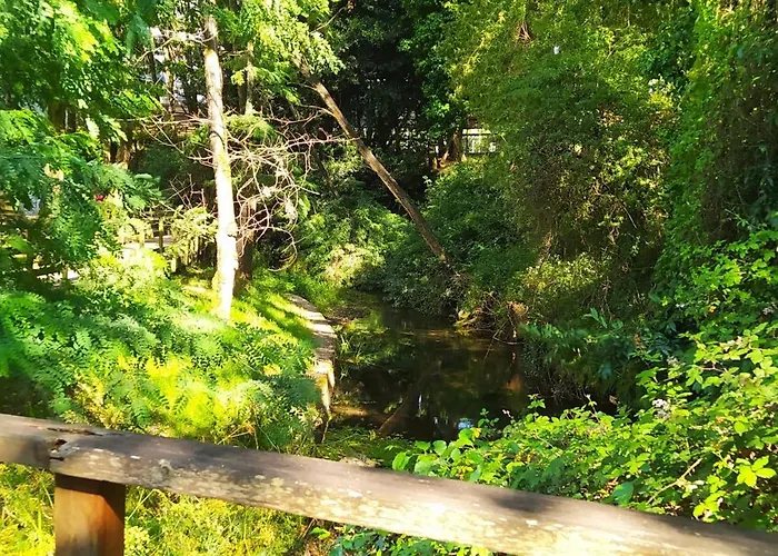 Moderno Y Luminoso 2 Con Todas Comodidades En Ciudad Apartment *